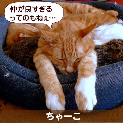 130711_touko.jpg