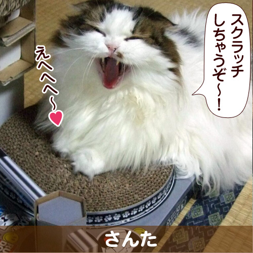 130712_touko.jpg
