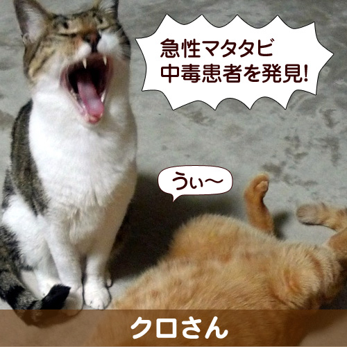 130713_touko.jpg