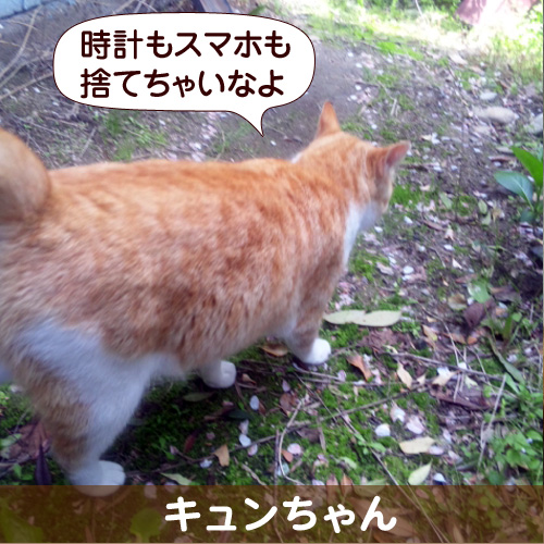 130714_touko.jpg