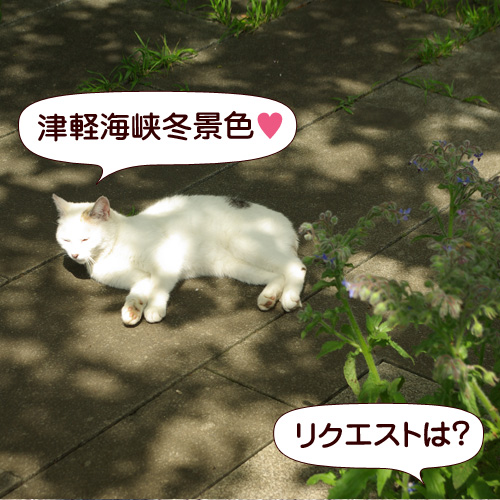 130715.jpg