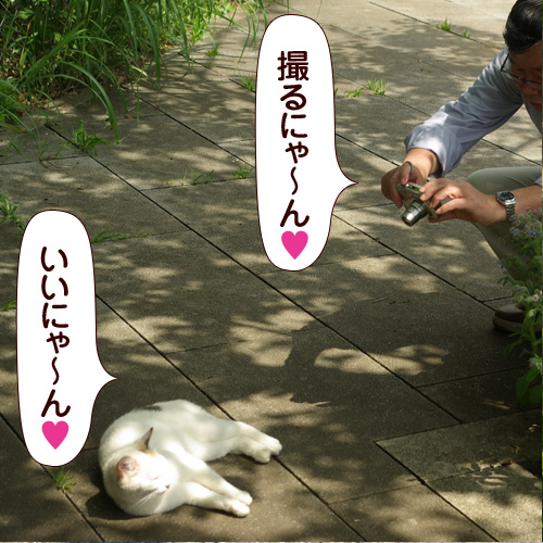 130716.jpg