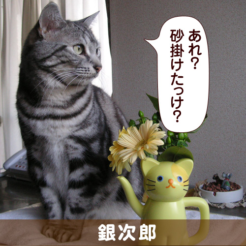 130724_touko.jpg