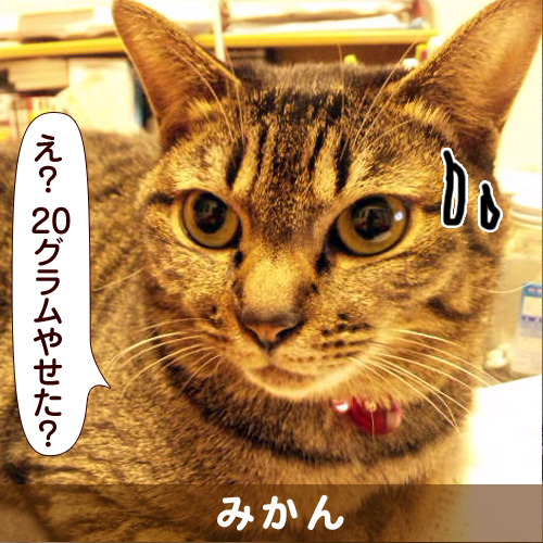 130725_touko.jpg