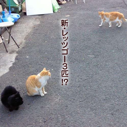 130731.jpg