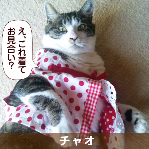 130731_touko.jpg