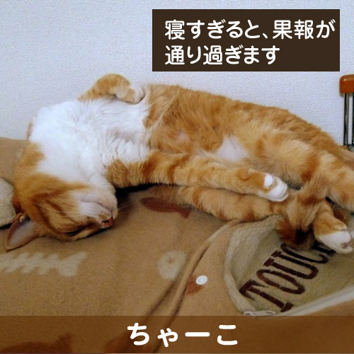 130803_touko.jpg