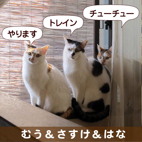 130805_touko.jpg