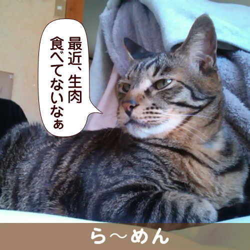 130806_touko.jpg