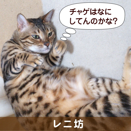 130822_touko.jpg