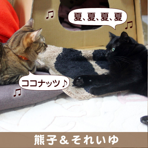 130823_touko.jpg