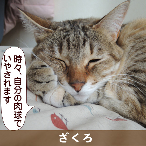 130825_touko.jpg