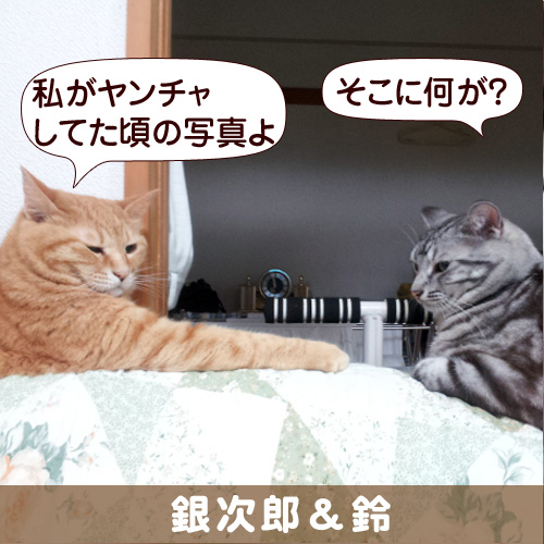 130830_touko.jpg
