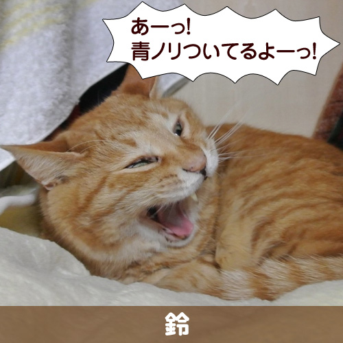 130831_touko.jpg