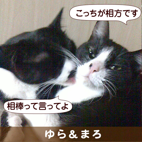 130907_touko.jpg