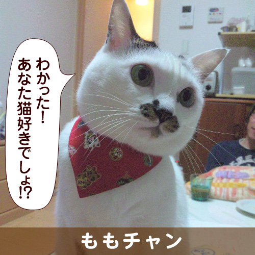 130911_touko.jpg