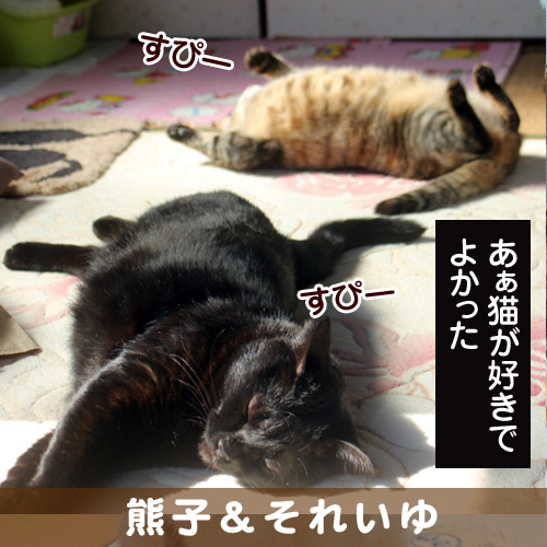 130912_touko.jpg