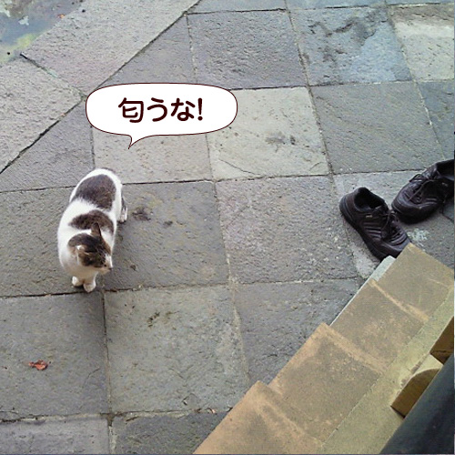 130920.jpg