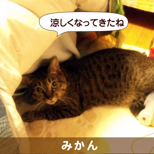 130928_touko.jpg
