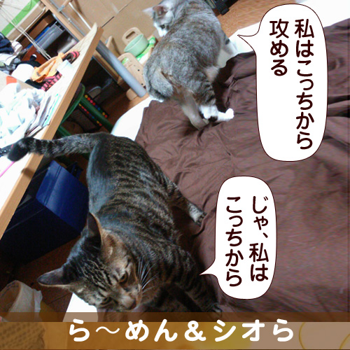 130929_touko.jpg