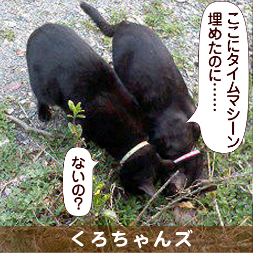 131002_touko.jpg