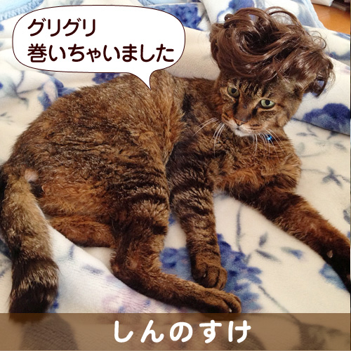 131003_touko.jpg