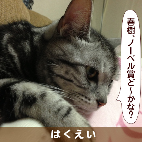 131004_touko.jpg