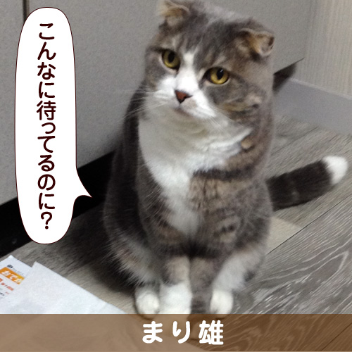 131005_touko.jpg