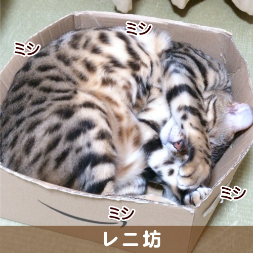131006_touko.jpg