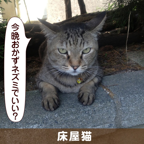 131008_touko.jpg