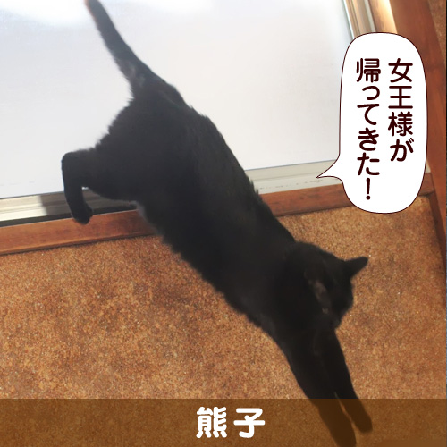 131009_touko.jpg