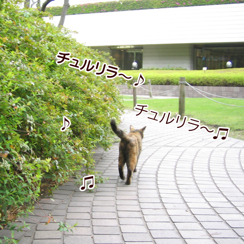 131011.jpg