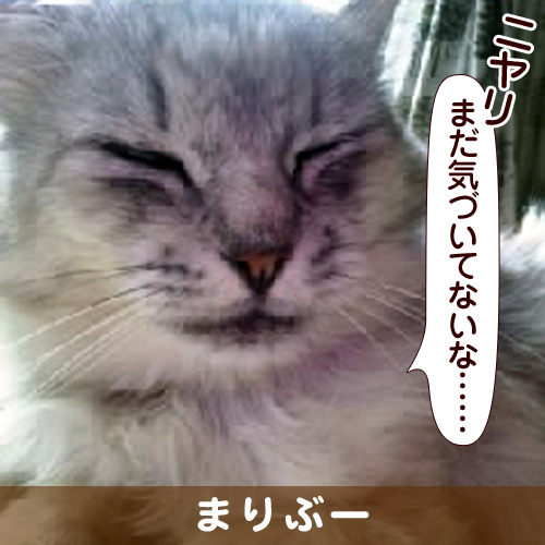 131011_touko.jpg