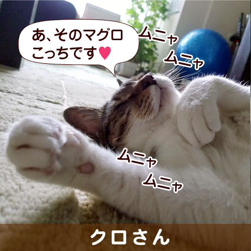 131014_touko.jpg