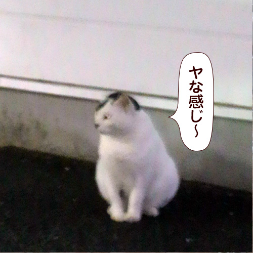 131015.jpg