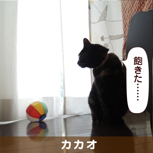 131015_touko.jpg