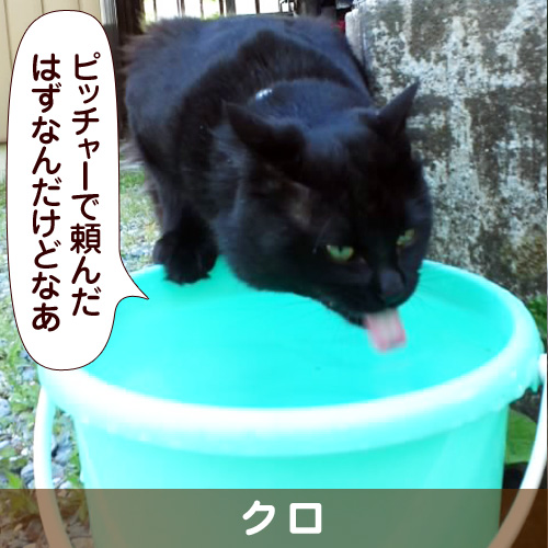 131016_touko.jpg