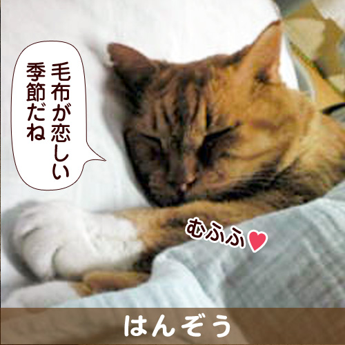 131019_touko.jpg