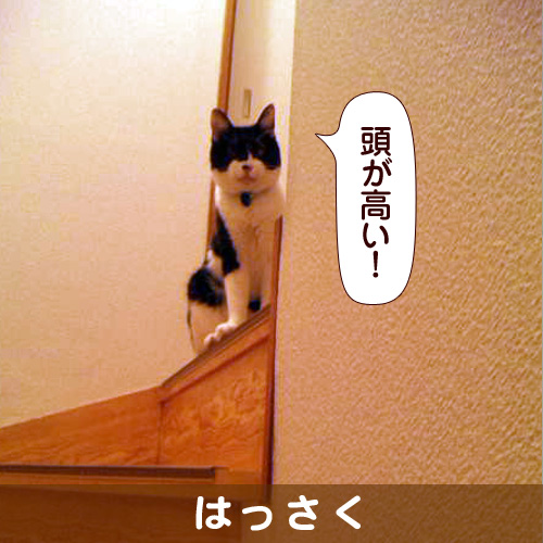131026_touko.jpg