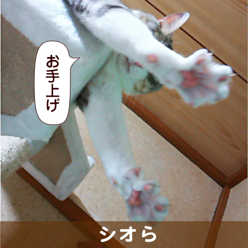 131028_touko.jpg