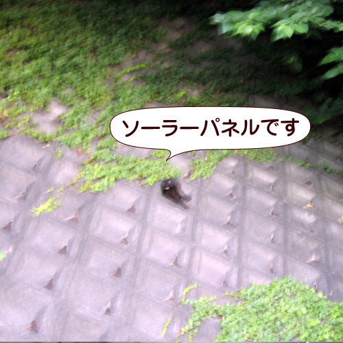 131030.jpg