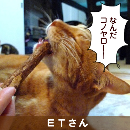 131030_touko.jpg