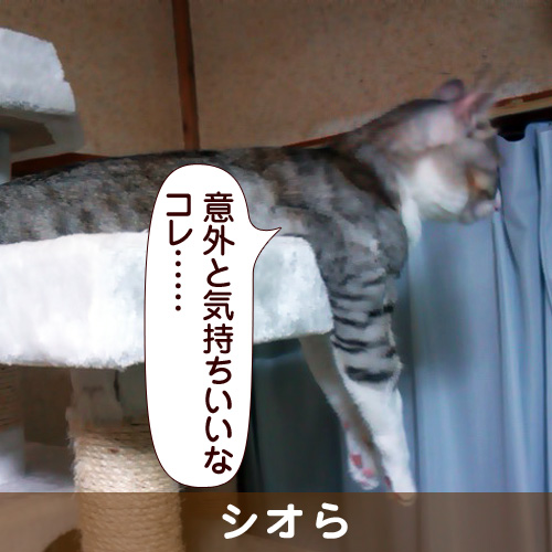 131102_touko.jpg