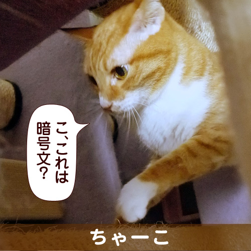 131103_touko.jpg