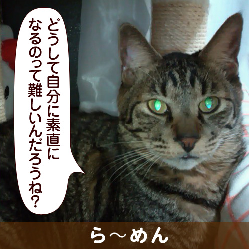131110_touko.jpg