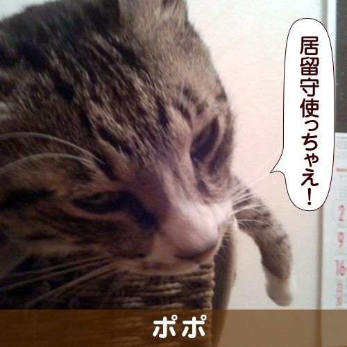 131111_touko.jpg