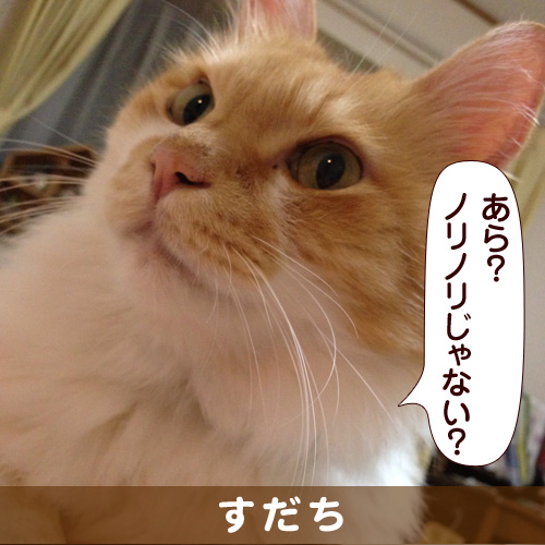 131113_touko.jpg