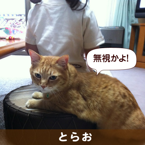 131118_touko.jpg