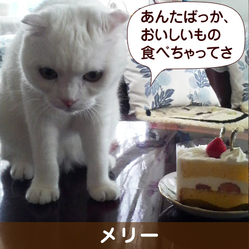 131126_touko.jpg