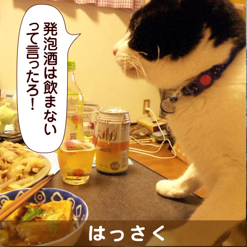 131127_touko.jpg